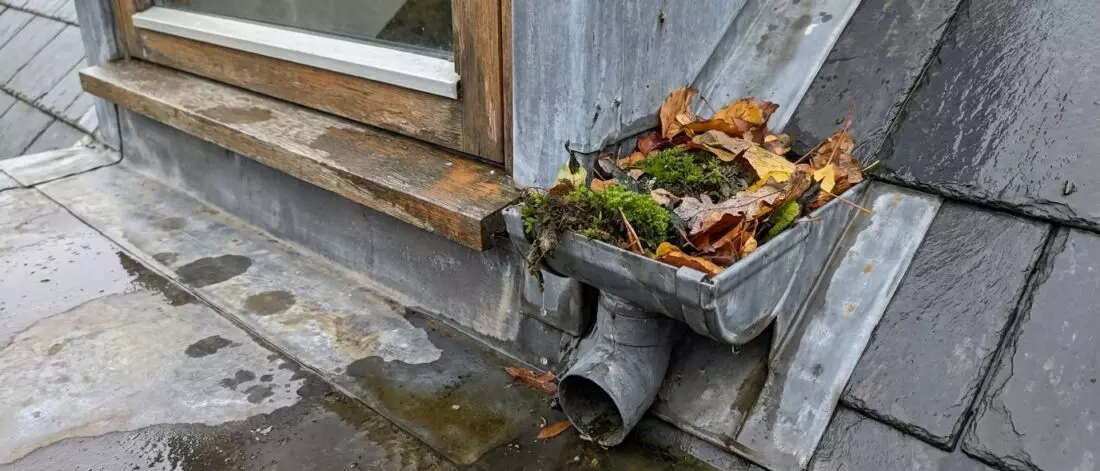 Hoe controleer je een dakkapel afvoer op verstopping en teruglopend regenwater? Belangrijkste oorzaken en signalen bij dakkapel afvoerproblemen