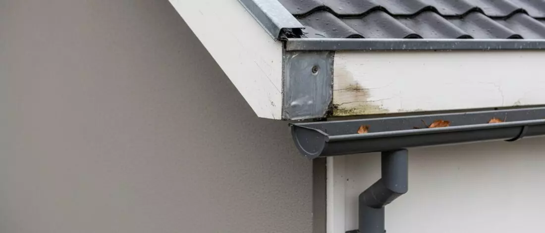 lekdetectie Je wilt weten hoe je een dakkapel controleert op regenwater dat via schroefgaten binnendringt.