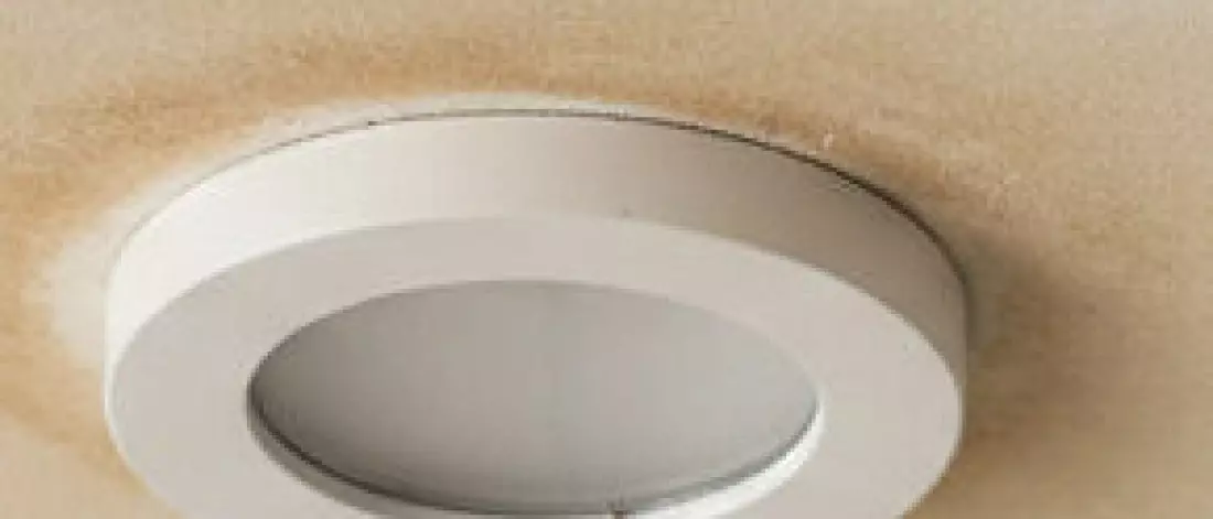 Home lekdetectie Hoe spoor je een plafondlekkage op bij een bruine kring rond een plafondspot?