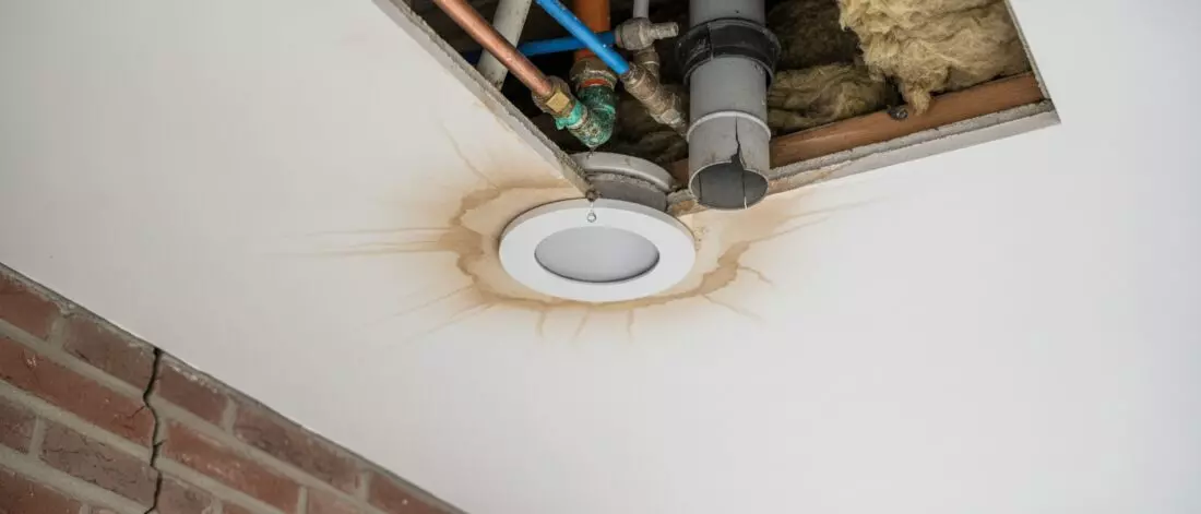 Hoe spoor je een plafondlekkage op bij een bruine kring rond een plafondspot? Veelvoorkomende oorzaken rond plafondspots