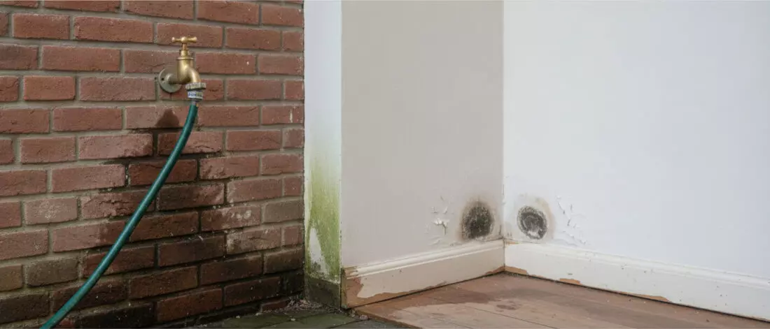 Zie je een natte plek bij de buitenkraan en trekt vocht door de muur naar binnen. Wat is een lekkage bij een buitenkraan die door de muur naar binnen trekt