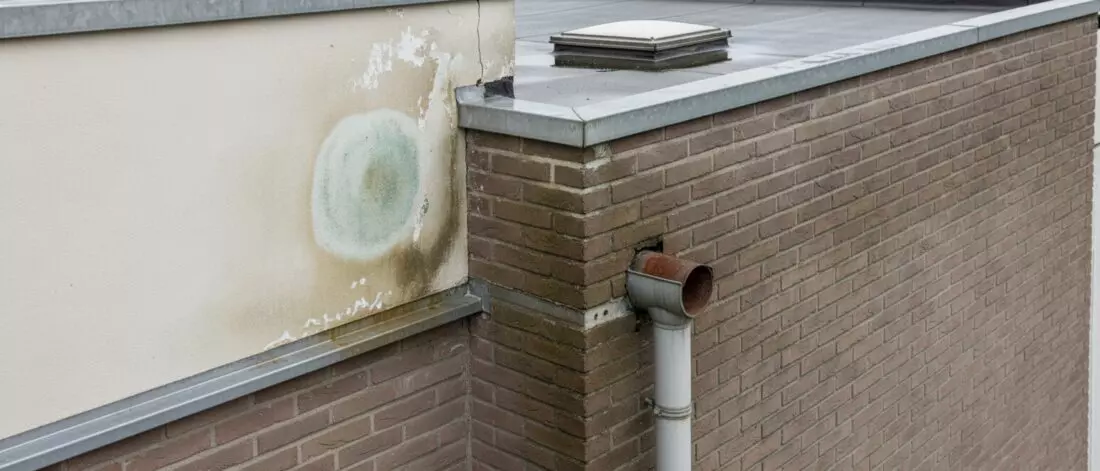 Hoe controleer je een binnenmuur op doorslaand vocht bij een platdak aanbouw? Wat is doorslaand vocht bij een platdak aanbouw