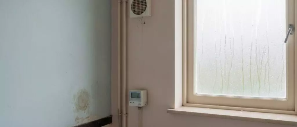 hoe-herken-je-een-combinatie-1-751 lekdetectie Hoe herken je een combinatie van leidinglek en ventilatieprobleem in dezelfde ruimte?