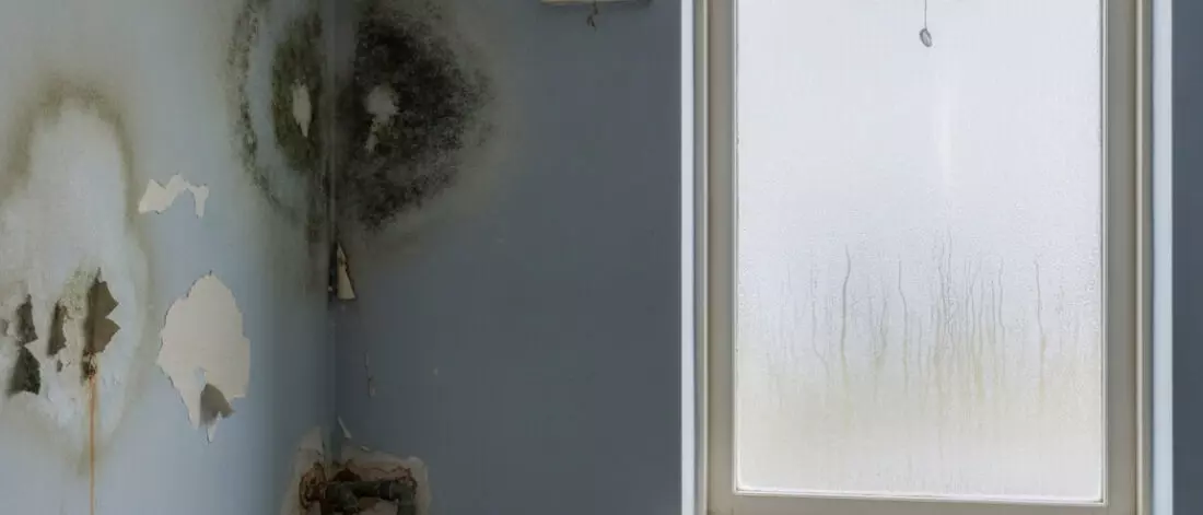 Hoe herken je een combinatie van leidinglek en ventilatieprobleem in dezelfde ruimte? Waarom deze combinatie zo verraderlijk is en hoe die is ontstaan