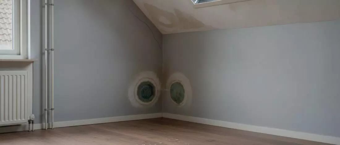Home lekdetectie Hoe vind je de bron van waterschade die van dak naar muur en plafond verschuift.