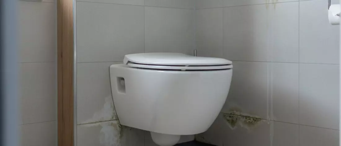 Home lekdetectie Hoe vind je de bron van vocht achter een toiletombouw in een kleine badkamer?