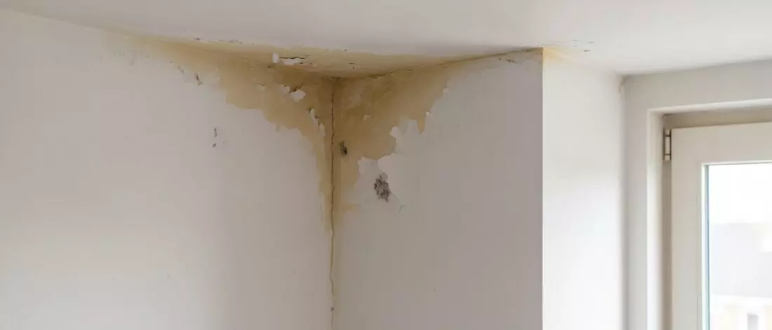 Hoe vind je de bron van waterschade die van dak naar muur en plafond verschuift. Hoe vind je de bron van waterschade die van dak naar muur en plafond verschuift