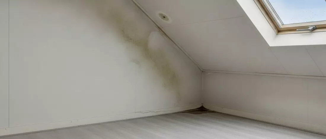 Hoe vind je de bron van waterschade die van dak naar muur en plafond verschuift. Stappenplan om de bron veilig en precies te vinden