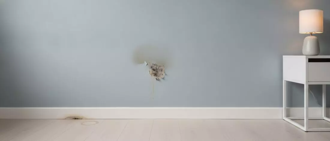 Home lekdetectie Hoe vind je een verborgen waterlek in een slaapkamerwand zonder breekwerk?
