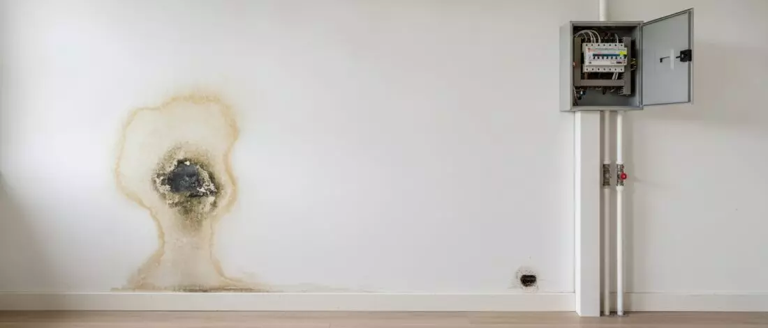 Home lekdetectie Je ziet een vochtplek naast de meterkast bij de groepenkast en je hoort soms zacht tikken bij de leidingkoker.