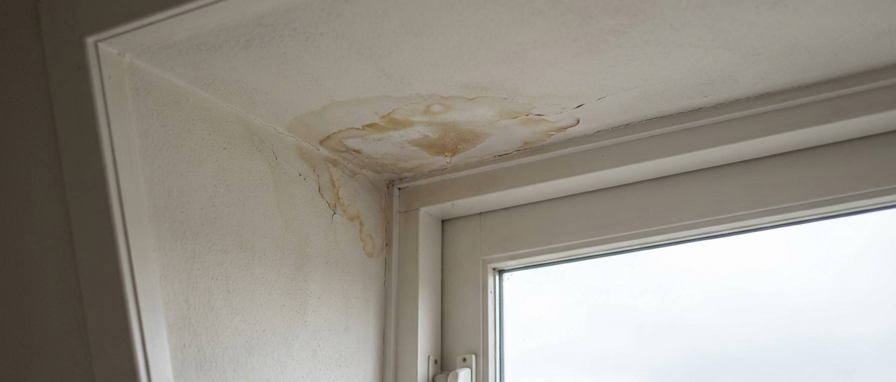 Daklekkage opsporen met thermografie