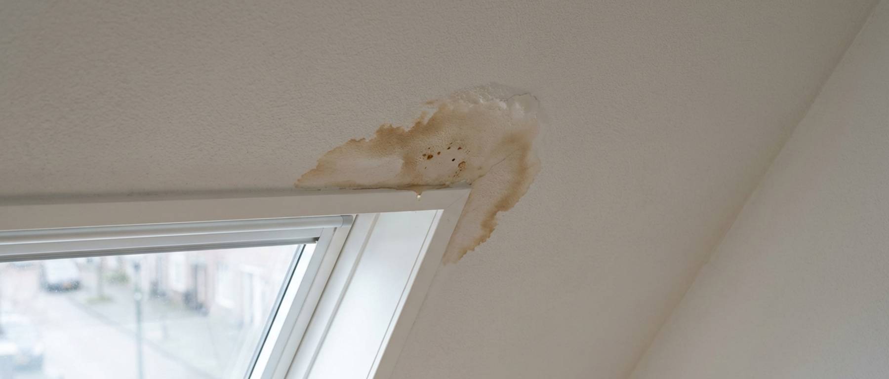 Dakpan lekkage opsporen