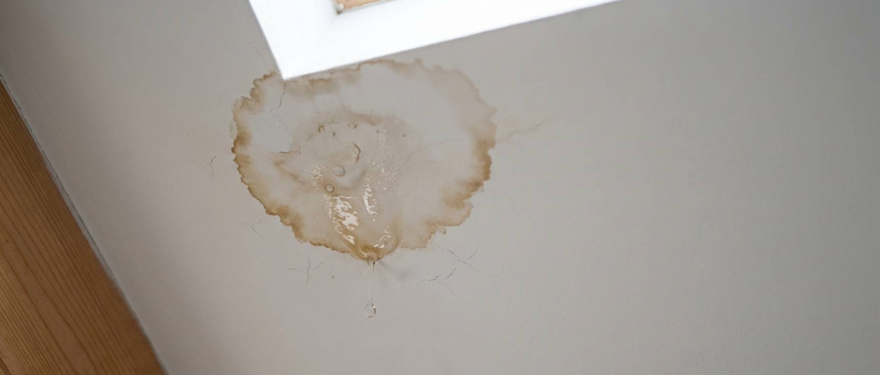 Dakafvoer lekkage bitumen opsporen