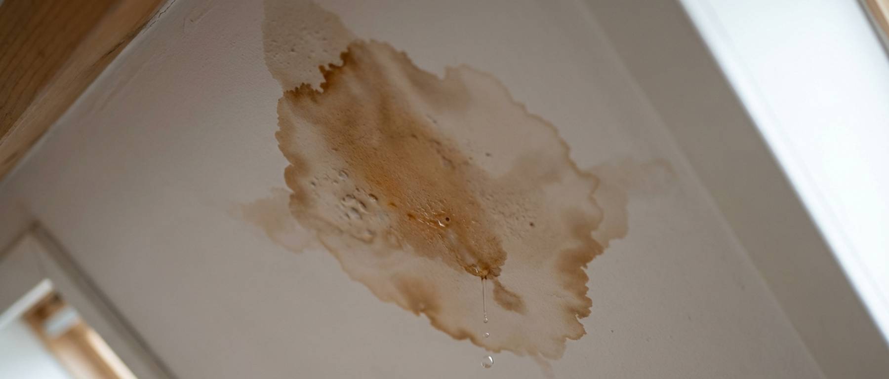 Dakkapel lekkage rapport voor verzekering