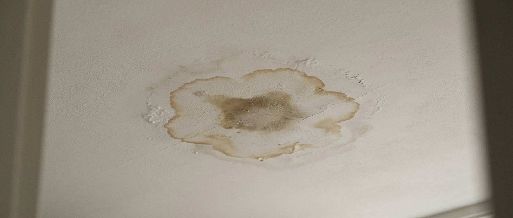 Gratis offerte plafond lekkage opsporen