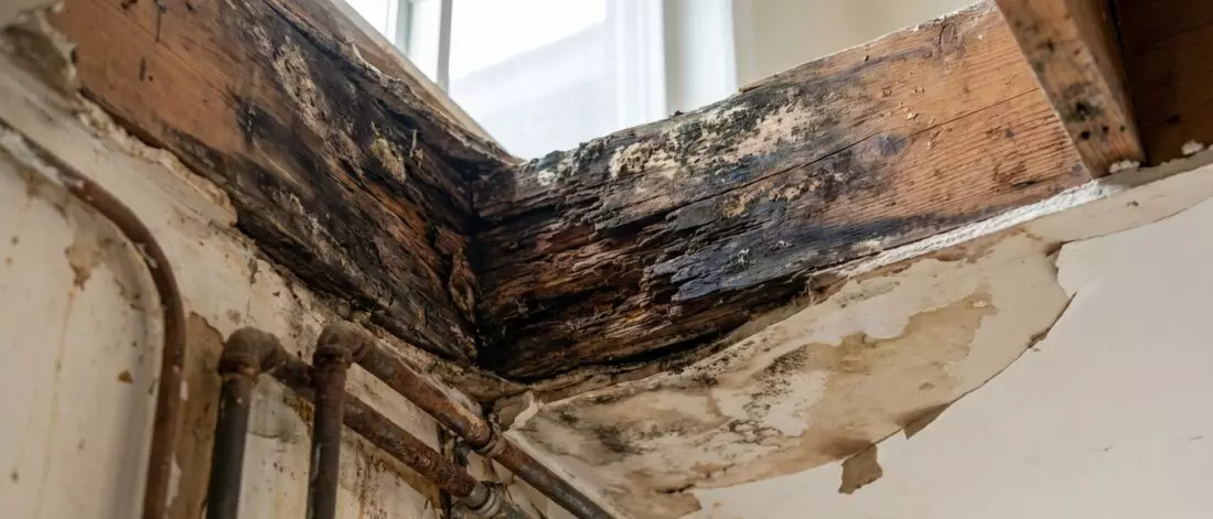 Langetermijneffecten en structurele risico's