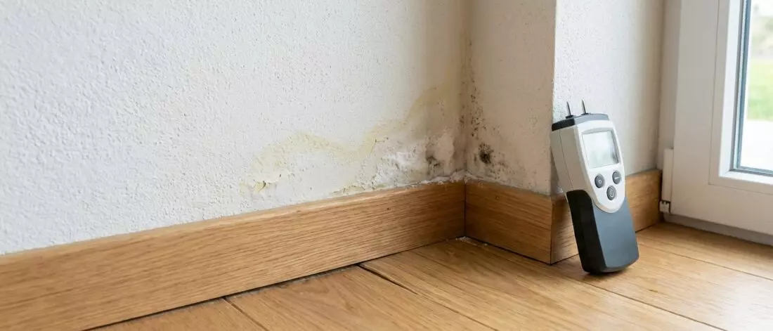 Signalen in stucwerk en verflaag die je snel herkent
