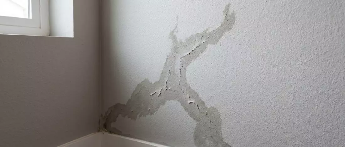 lekdetectie Een muurlek herken je beter aan patroon en locatie dan aan alleen verkleuring.