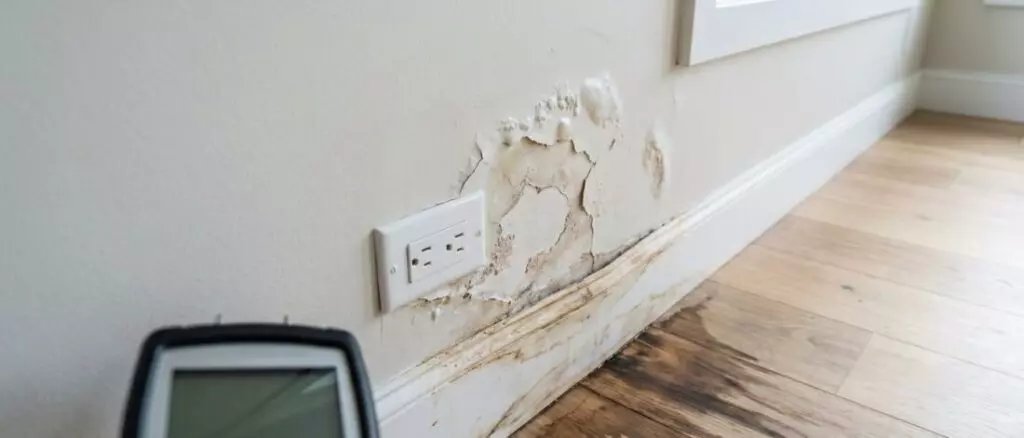 lekdetectie Een muurlekkage toont vaak pas laat zichtbare schade aan verf, stucwerk en plinten.