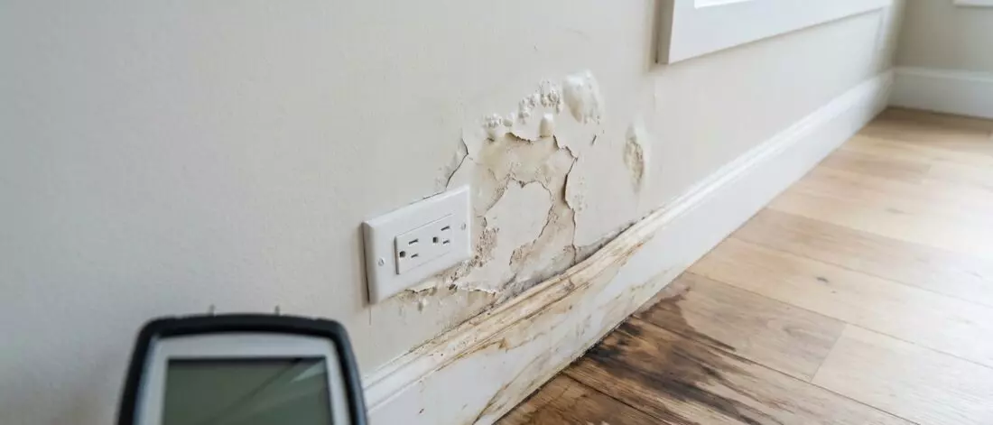 lekdetectie Een muurlekkage toont vaak pas laat zichtbare schade aan verf, stucwerk en plinten.