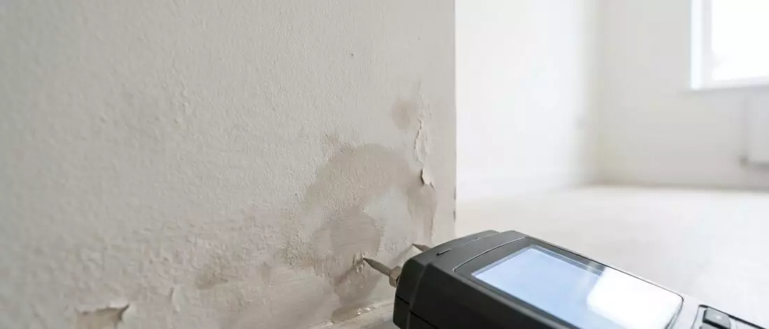 lekdetectie Een muurlekkage wordt vaak verward met condens, maar de oorzaak vraagt andere metingen.