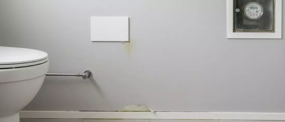 lekdetectie Hoe controleer je een muurlekkage bij renovlies, stucwerk en recent schilderwerk?