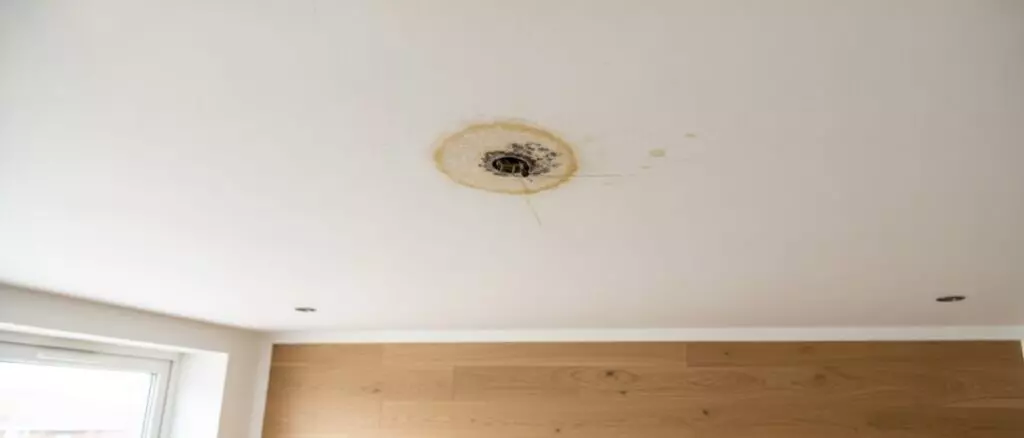lekdetectie Hoe herken je een verborgen lek in een plafond wanneer de vloer erboven droog lijkt?
