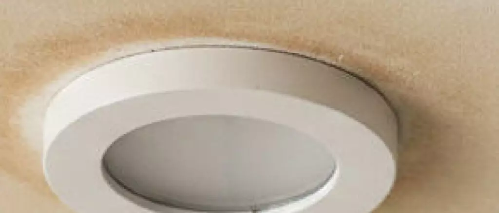 lekdetectie Hoe spoor je een plafondlekkage op bij een bruine kring rond een plafondspot?