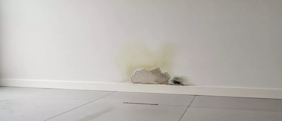 Hoe spoor je een waterleiding lek op achter een muur zonder onnodig breekwerk