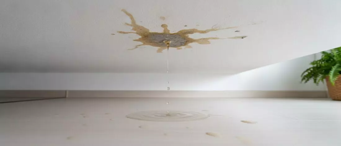 lekdetectie Je ziet een bruine vlek of vochtplek in het plafond.