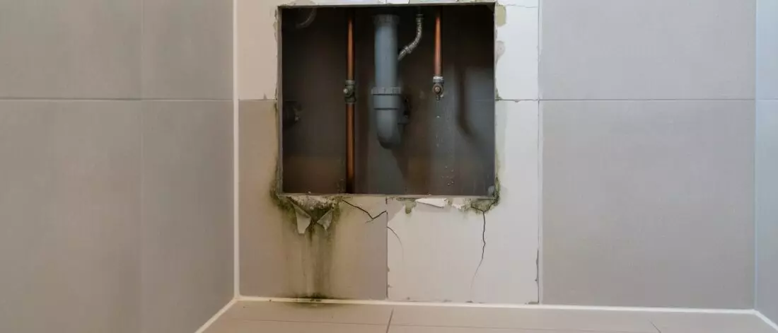 Wat vocht achter een toiletombouw betekent en herkenningssignalen