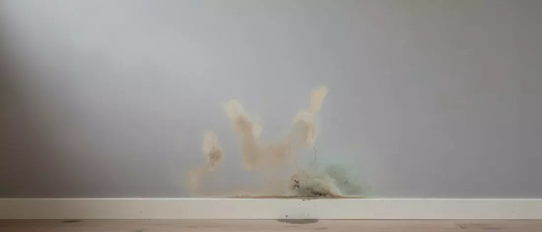Wat is een verborgen waterlek in een slaapkamerwand