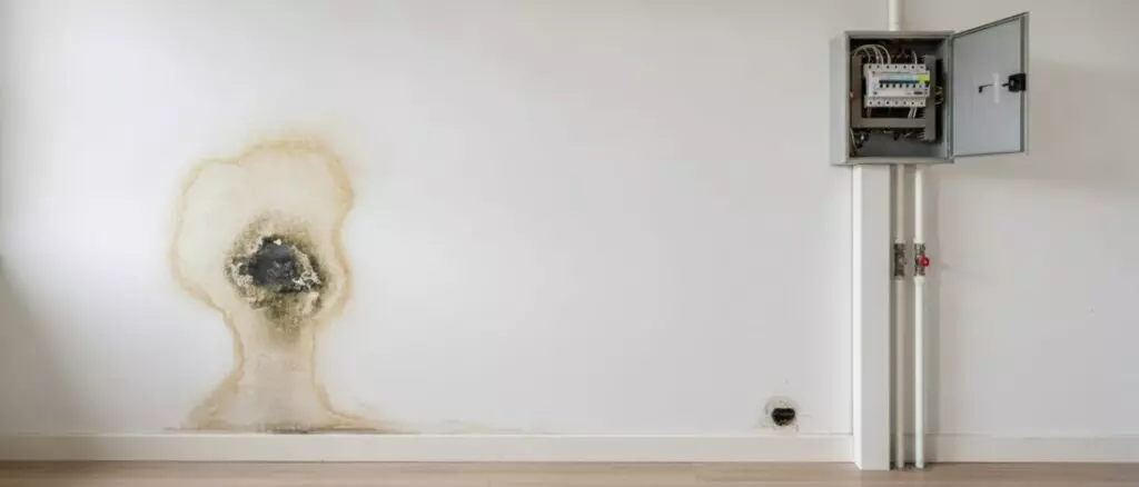 you-see-a-damp-spot-next-to-1-684 Leak detection You see a damp spot next to the meter cupboard near the fuse box and you sometimes hear a soft ticking near the pipe duct.